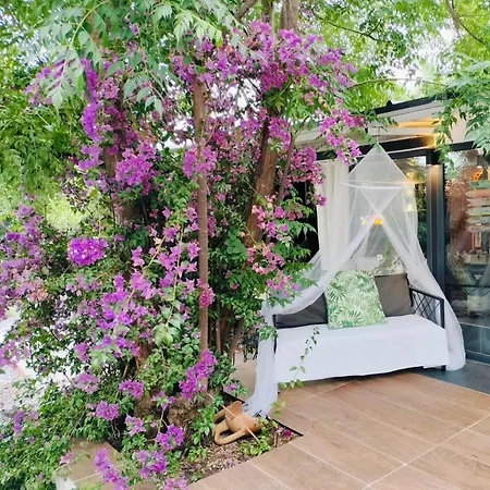 Baykus Guesthouse-konukevi Konukevi Söke