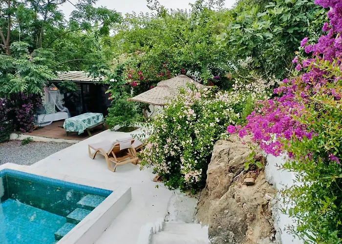 Pensiune Baykus Guesthouse-konukevi